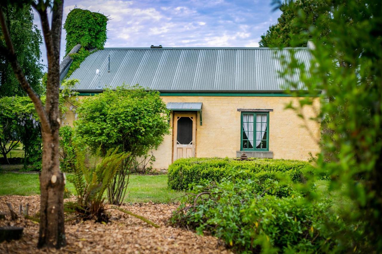 Blackwood Park Cottages Mole Creek Exterior foto